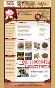 蘇州Flash高級編程培訓與網頁設計培訓指南